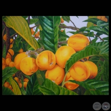 NÍSPEROS, 2011 - Óleo de MABEL ORUÉ